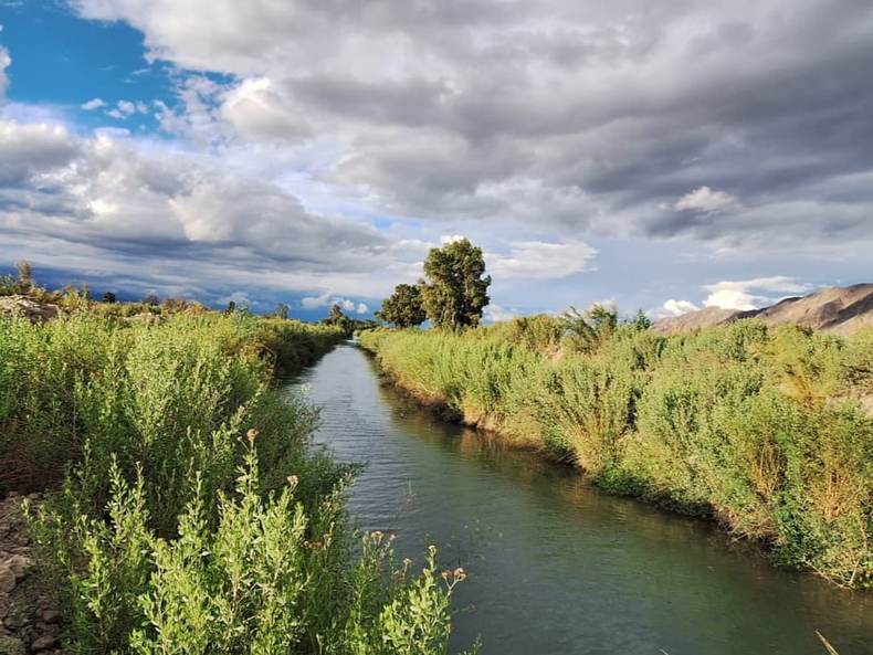 El Parque Provincial Presidente Sarmiento es una maravilla de la flora y la fauna sanjuanina. El Parque Provincial Presidente Sarmiento es una maravilla de la flora y la fauna sanjuanina.