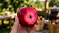 Imagen de la manzana Kissabel. Foto: Agencia Noticias Argentinas (IA). Imagen de la manzana Kissabel. Foto: Agencia Noticias Argentinas (IA).