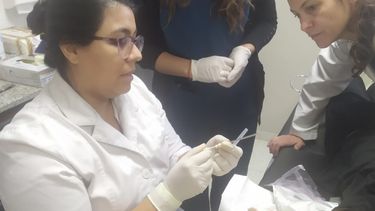 El cómodo método anticonceptivo que se comenzó a colocar gratis en San Juan y dura 3 años