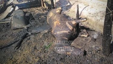 Murió un caballo calcinado en un terrible incendio de Albardón