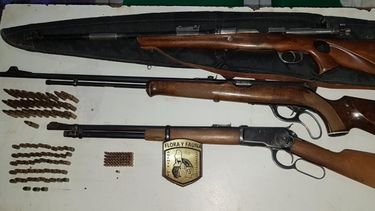 Sanjuaninos en infracción: desde rescatar aves hasta incautar armas de fuego ilegales