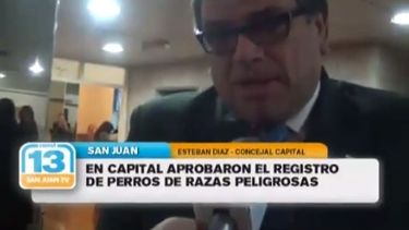 En Capital aprobaron el registro de tenencia de perros peligrosos