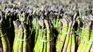 Un productor sanjuanino de Médano de Oro, en Rawson, compartió un video sobre el proceso de cosecha y venta del espárrago que se hizo viral.