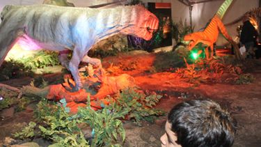Con 200 stands, arrancó la Feria del Libro