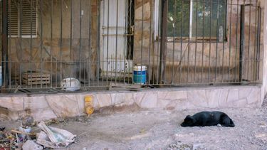 La terrible historia detrás de la anciana que encontraron muerta en Rawson