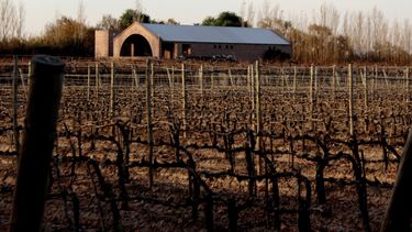 Actividades para el último día de vacaciones de invierno en San Juan