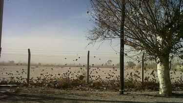 El viento Norte hará de este martes una jornada calurosa