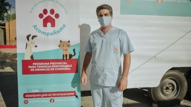 Perros peligrosos en San Juan: extienden el plazo y el cupo para el chipeo gratis