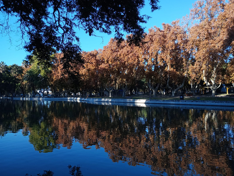 El tiempo este domingo: el Servicio Meteorológico Nacional asegura que la temperatura máxima llegará a los 19º.