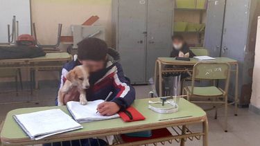 Amigo fiel: un alumno sanjuanino fue a clases con un singular compañero