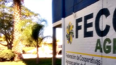 Treinta sanjuaninos se quedaron sin trabajo por quita de programas nacionales