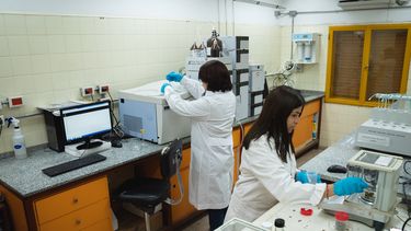 El laboratorio de cannabis de San Juan presta servicios dentro y fuera de la provincia.