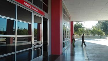 Un alacrán picó a un niño y está internado