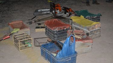 En operativos de fauna decomisan 15 aves, tramperos y un arma