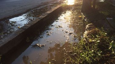 Caños rotos y acumulación de agua preocupan a vecinos por Dengue y Zika