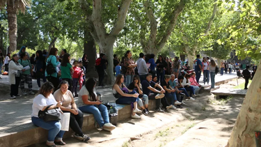 Ingreso a colegios preuniversitarios: está el listado definitivo