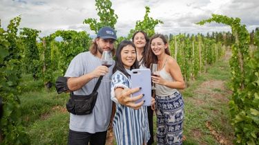 Tentadoras y en compañía: las propuestas de la ruta del Vino, el Olivo y la Cerveza