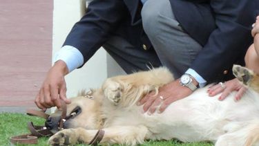 El emocionante relato del hermano de Rubén Bolaños