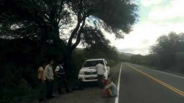 Indignante: engancharon a turistas destrozando flora en Valle Fértil