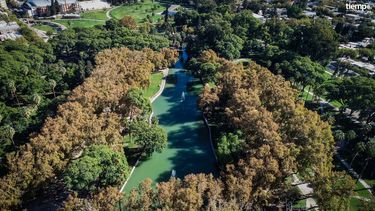 Video: un lago lleno de vida en el pulmón verde de San Juan