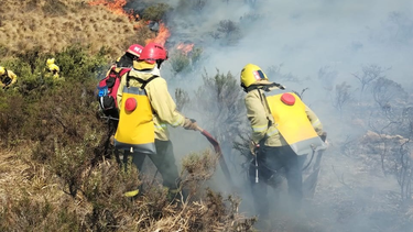Los bomberos sanjuaninos trabajan con herramientas de mano y mochilas con agua, en las zonas calientes en las zonas calientes tras los graves incendios en Córdoba.
