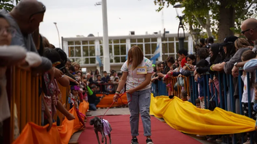 Convocan a anotar mascotas para participar en el desfile de Santa Lucía.