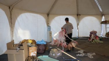 Los trajes del espectáculo final están listos para brillar esta noche