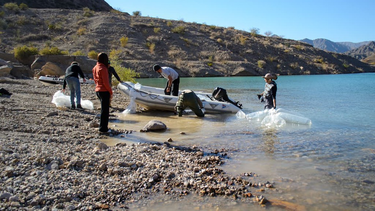 Ambiente repobló el Dique Punta Negra con la siembra de 520 pejerreyes juveniles.