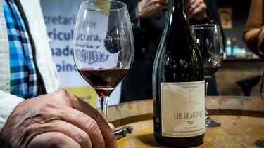 Catar San Juan celebra la Semana del Malbec: probamos vinos sanjuaninos y te contamos todo lo que vas a poder hacer