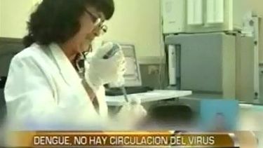 Dengue en San Juan: sin casos, Salud Pública sigue en la prevención
