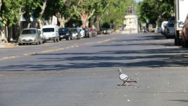 ¿Qué funciona y qué no el próximo lunes en San Juan?