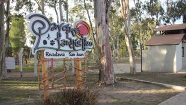 Por el día del animal liberarán tres gavilanes mixtos y un carancho