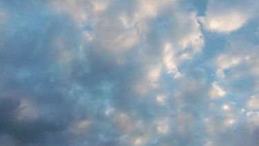 Sigue el fresco en el segundo día de la FNS