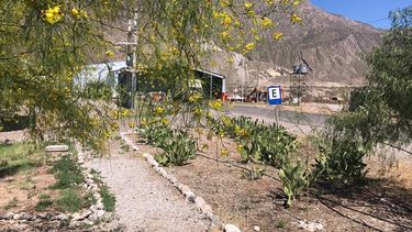 Una gran mutación: de basurero provincial a vergel