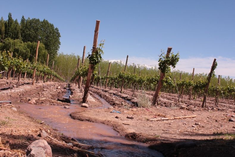 Acero y Roca | Magazine Minero - “Sin agua no hay vida”: Mendoza cambió el juego y San Juan podría seguirlo