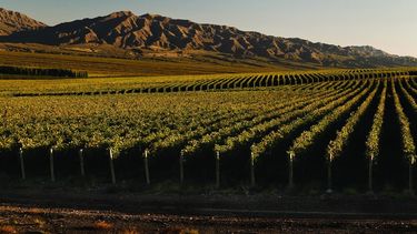 Vuelta al turismo en San Juan: los 4 tapados y una perlita