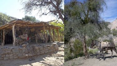 Casas Viejas: El pasado en el presente