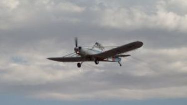 Controles químicos aéreos en 9 de Julio y Rawson