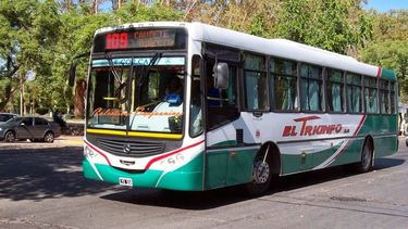 Este domingo, una empresa de colectivos dejará viajar gratis a los niños