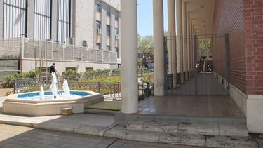 En la Catedral: Ponen rejas al rosedal