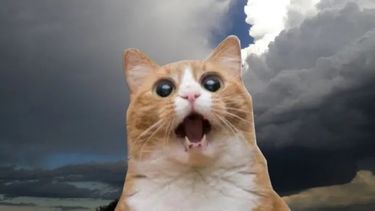 ¿Combo de ventarrón y lluvia para este viernes en San Juan?