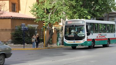 Micros: Lo mejor, el trato de los choferes; lo peor, el tiempo de espera