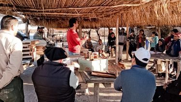 La comunidad huarpe Aguas Verdes comenzó con la producción de miel.