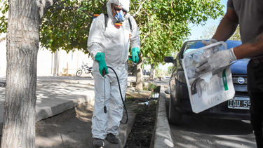 El avance del dengue en la provincia y los operativos que se desarrollan ante la aparición de los casos.