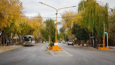 Video: una esquina verde transformada en un ícono de Santa Lucía