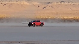 Volvieron a vandalizar la Pampa del Leoncito, a sólo dos días del último hecho. Volvieron a vandalizar la Pampa del Leoncito, a sólo dos días del último hecho.