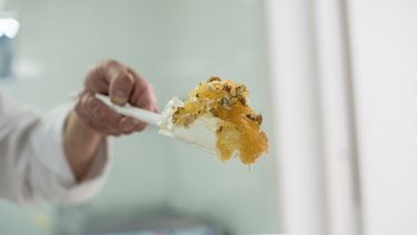 Semana del helado: comé a mitad de precio e inventá tu propio sabor