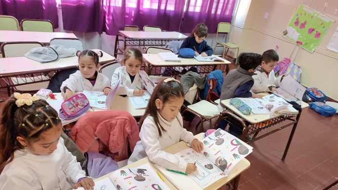 Llegaron a la provincia los primeros libros en el marco del Plan Jurisdiccional de Alfabetización “Comprendo y Aprendo”.