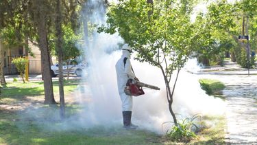 El municipio de Santa Lucía combate el dengue