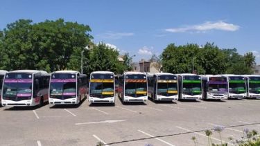 Novedad en Red Tulum: botones antipánico en una de las empresas